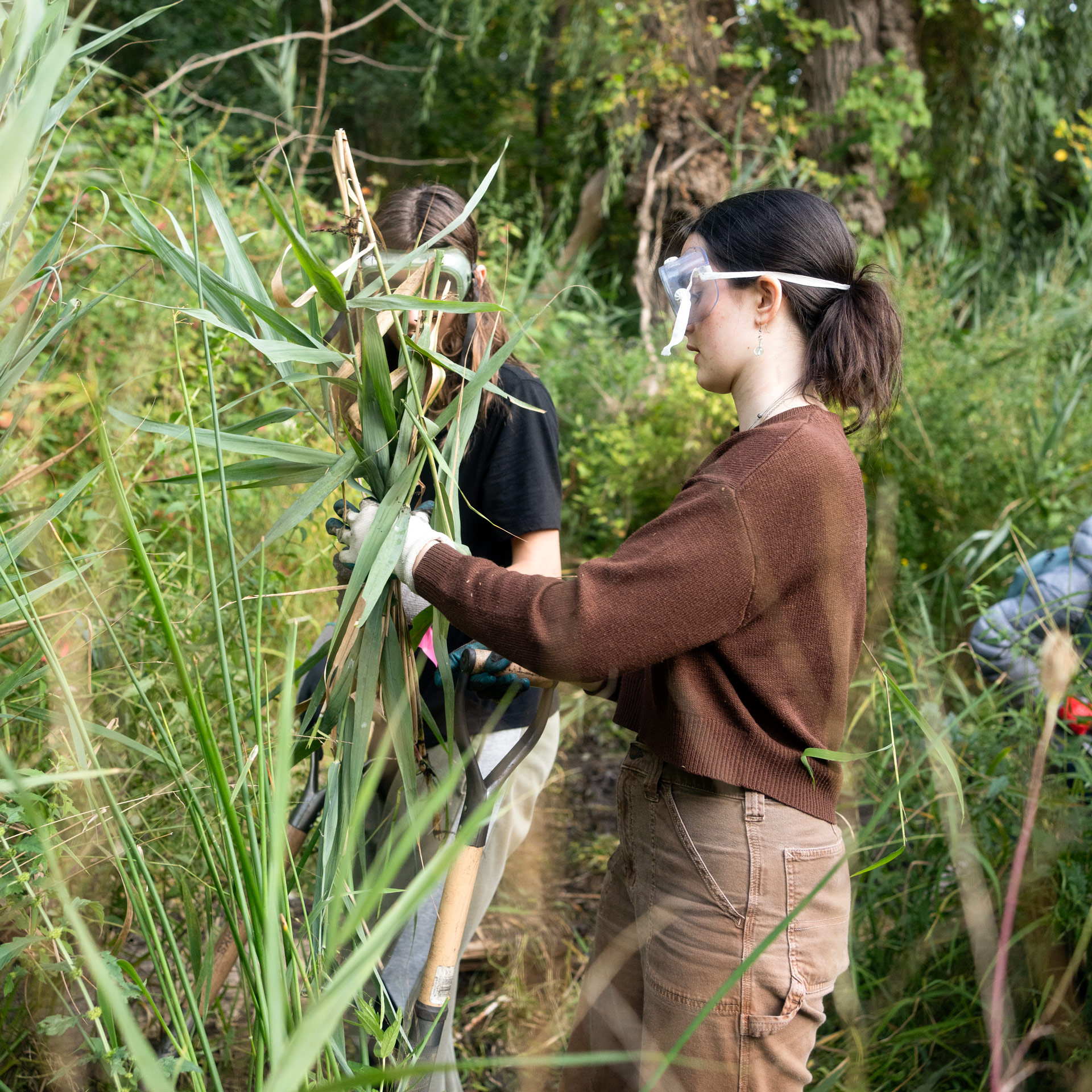 Two young women handling a leafy green plant with gloves and goggles.