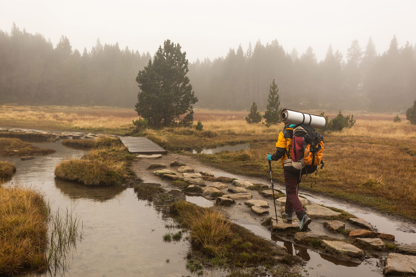 Man hiking a trail with a yellow backpack