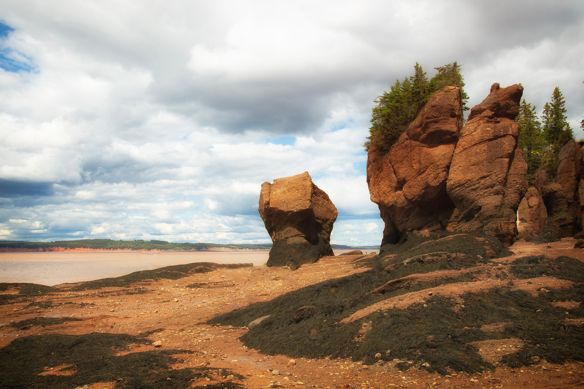 Hopewell Rock